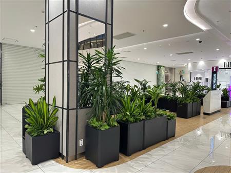 Cây công trình siêu thị đã thoàn thiện