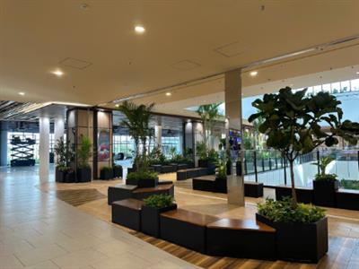 Cây công trình siêu thị, trung tâm thương mại đã thoàn thiện