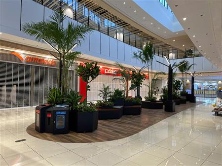 Cây công trình siêu thị đã thoàn thiện