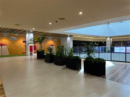 Cây công trình siêu thị đã thoàn thiện