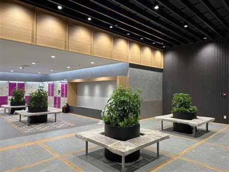 Cây công trình siêu thị đã thoàn thiện