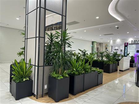 Cây công trình siêu thị đã thoàn thiện