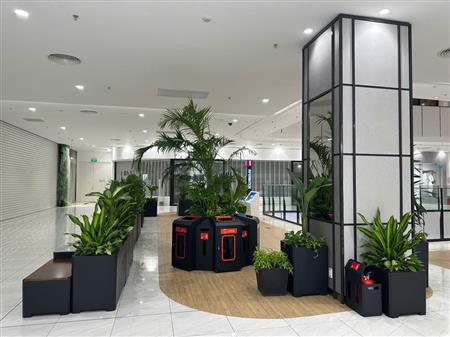 Cây công trình siêu thị đã thoàn thiện