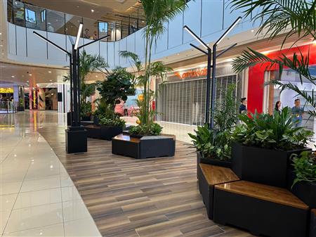 Cây công trình siêu thị đã thoàn thiện