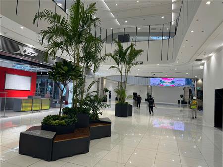 Cây công trình siêu thị đã thoàn thiện