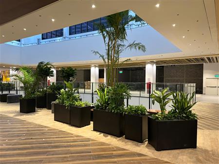 Cây công trình siêu thị đã thoàn thiện