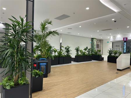 Cây công trình siêu thị đã thoàn thiện