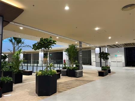 Cây công trình siêu thị đã thoàn thiện