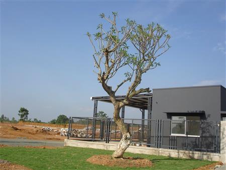 Công trình đã thực hiện tại các nhà máy, công ty, khu công nghiệp