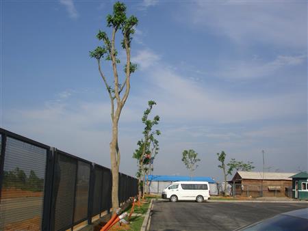 Công trình đã thực hiện tại các nhà máy, công ty, khu công nghiệp