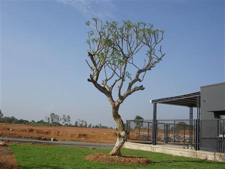 Công trình đã thực hiện tại các nhà máy, công ty, khu công nghiệp