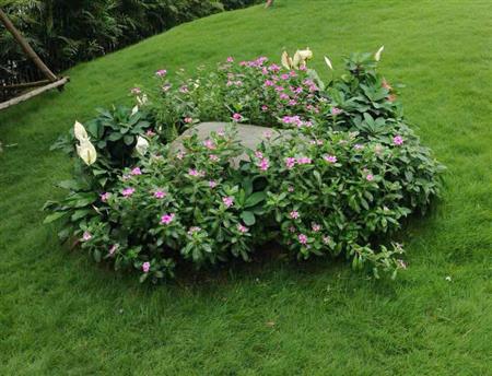 Công trình hoàn thiện cho khu biệt thự resort