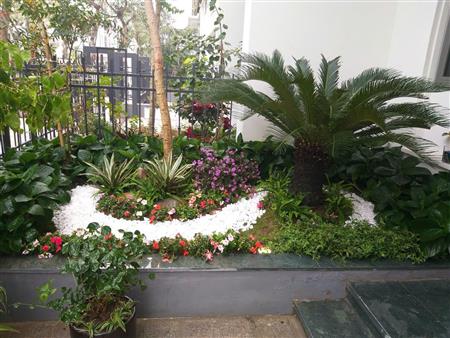 Công trình hoàn thiện cho khu biệt thự resort