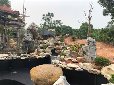 Công trình thi công cảnh quan hồ koi biệt thự, biệt phủ, resort