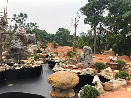 Công trình thi công cảnh quan hồ koi biệt thự, biệt phủ, resort