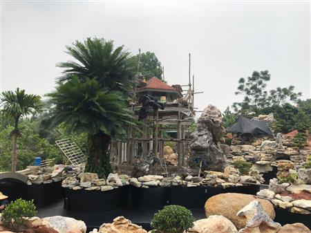 Công trình thi công cảnh quan hồ koi biệt thự, biệt phủ, resort