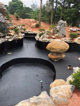 Công trình thi công cảnh quan hồ koi biệt thự, biệt phủ, resort