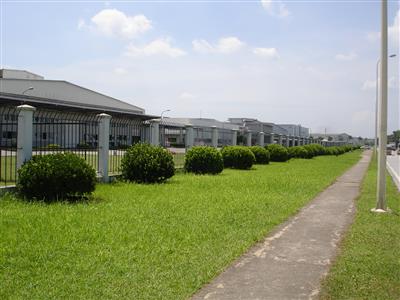 Cây sân vườn Nhà máy - Kim chung, Hà Nội