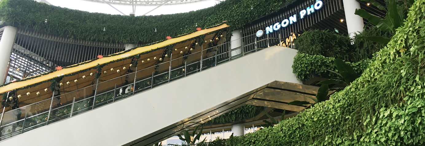 Vườn treo tường