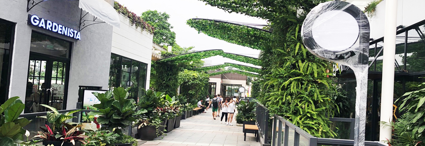 Cây cảnh quan - Hotline: 0975727172