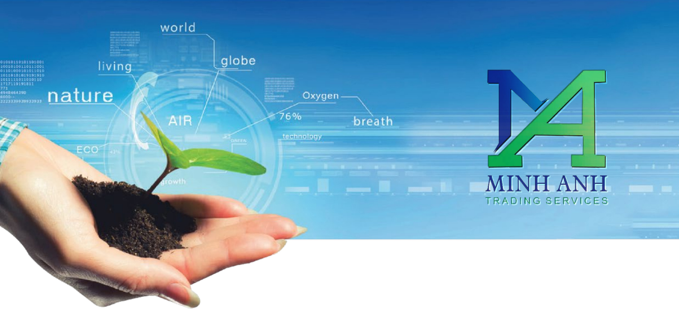 Tại sao nên chọn Minh Anh?