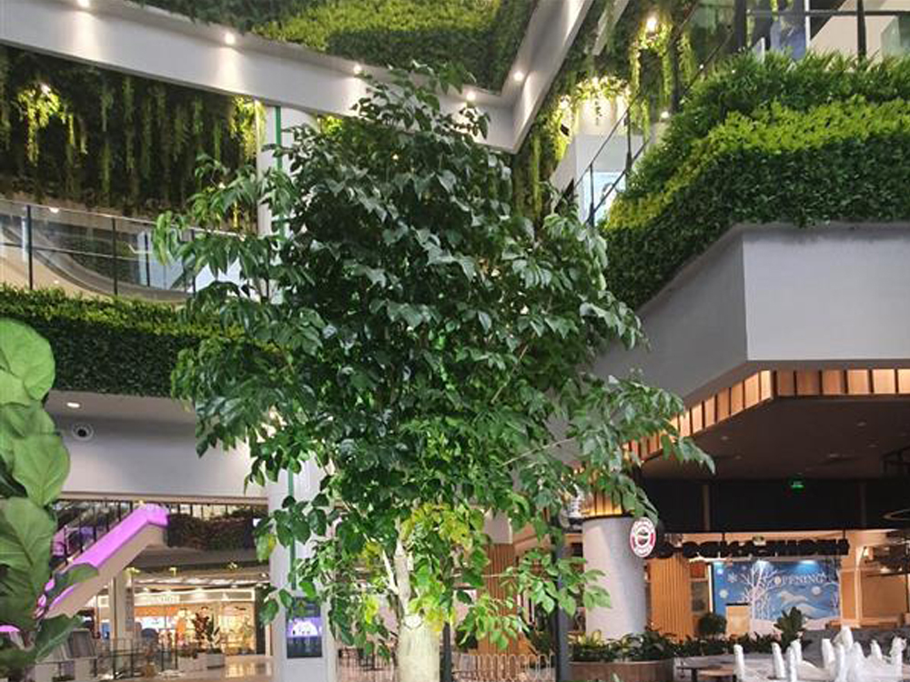 Thiết kế và thi công tường cây giả, tường cỏ giả, cây leo giả...