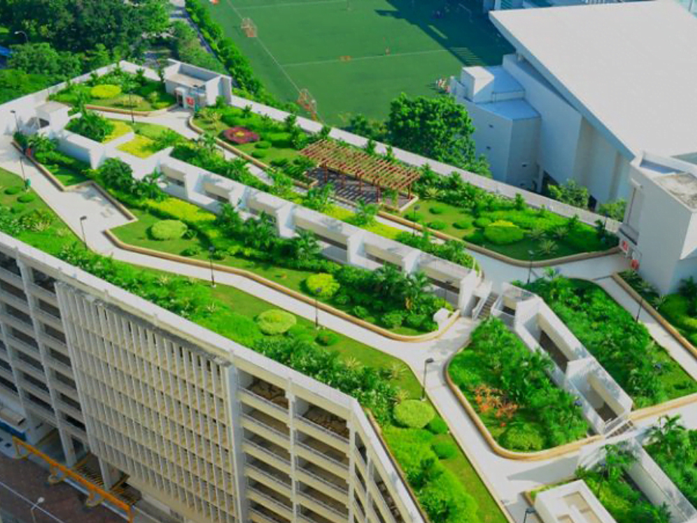 Thiết kế và thi công sân vườn trên mái